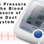 Blood Pressure Monitor